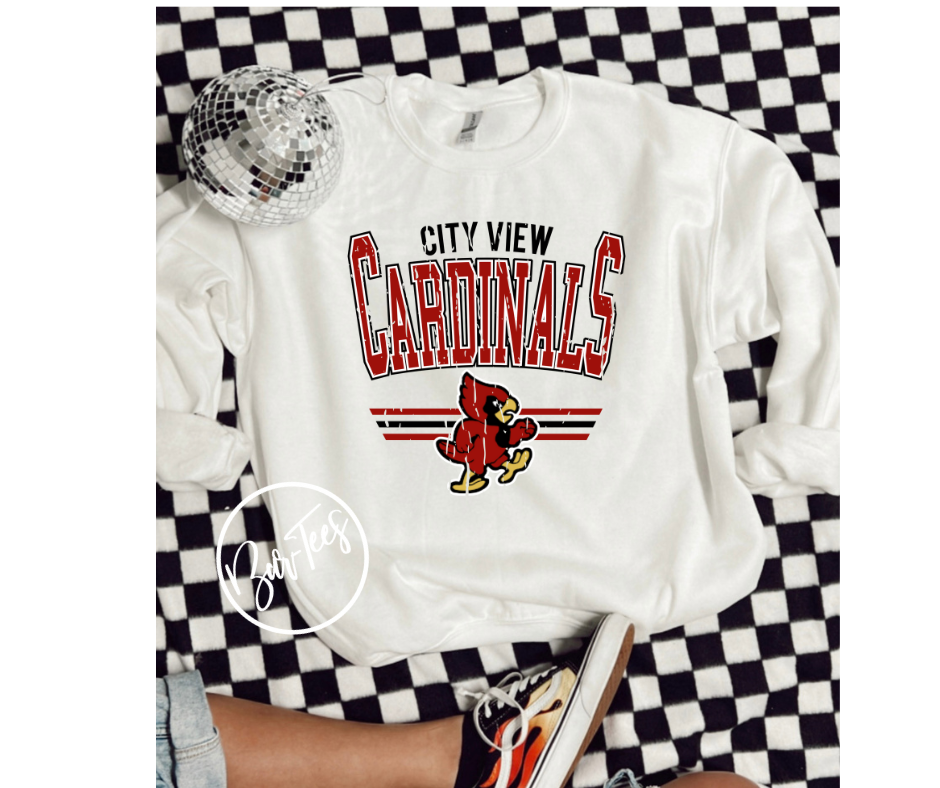 YOUTH City View Cardinals Retro Spirit