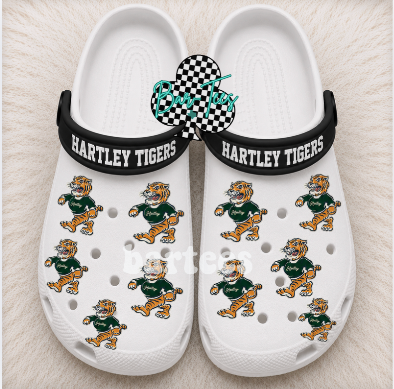 Custom Print Slip on Shoes