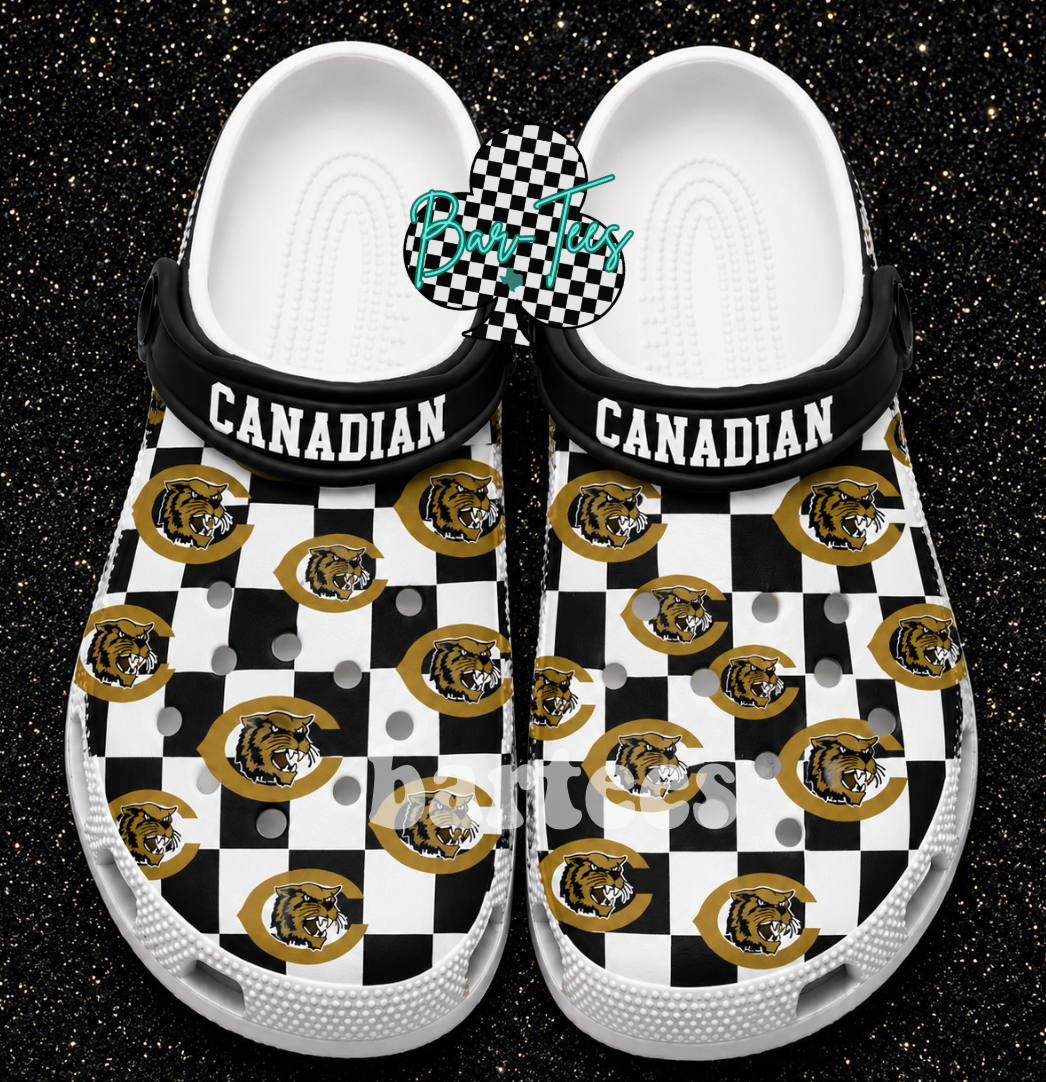 Custom Print Slip on Shoes